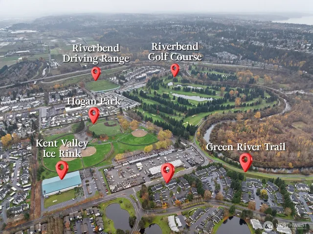 a view of a backyard with plants and a patio
