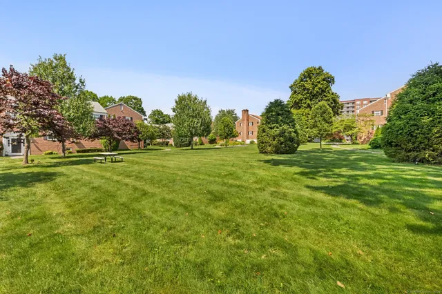 a grassy field with trees in the background