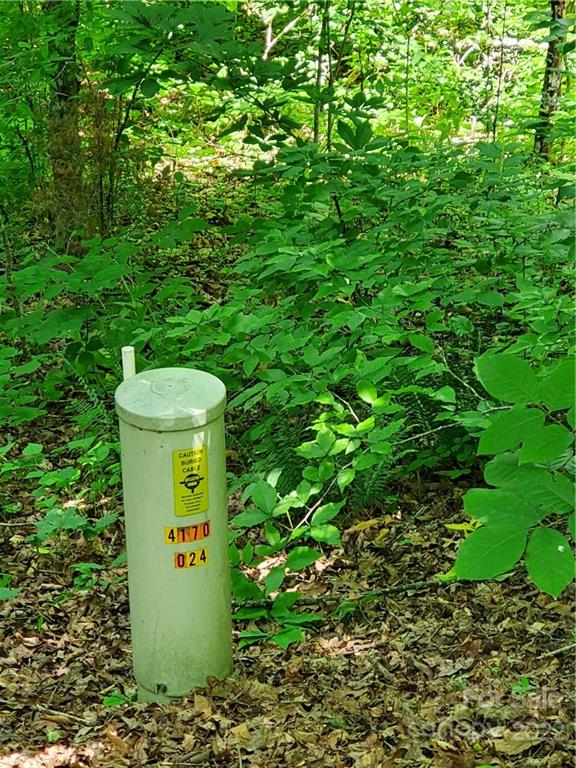 7 West Rambling Creek Drive Tryon, NC 28782 - Photo 11 of 15 a view of a outdoor space