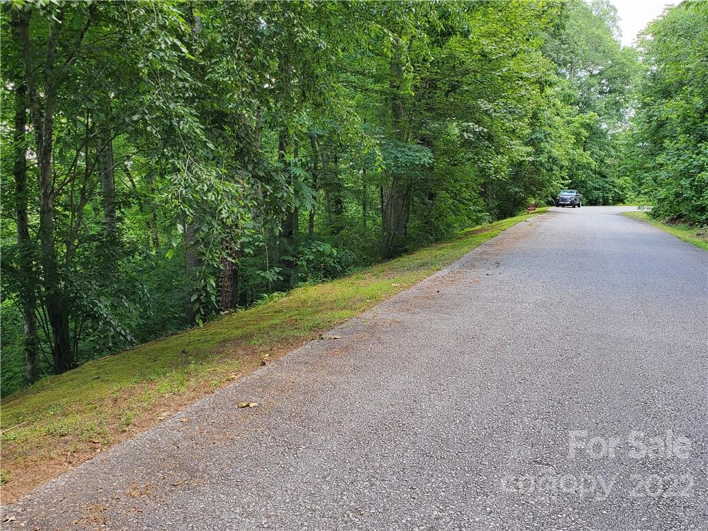 7 West Rambling Creek Drive Tryon, NC 28782 - Photo 7 of 15 a view of a road with a trees in the background