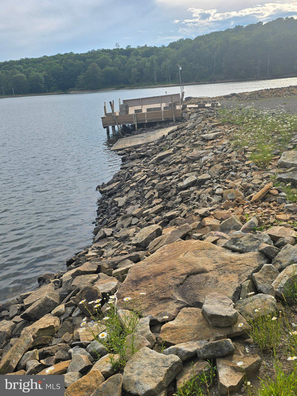 700 Paul Stahl Road Mount Storm, WV 26739 - Photo 17 of 31 Tranquil lakeside retreat awaits.
