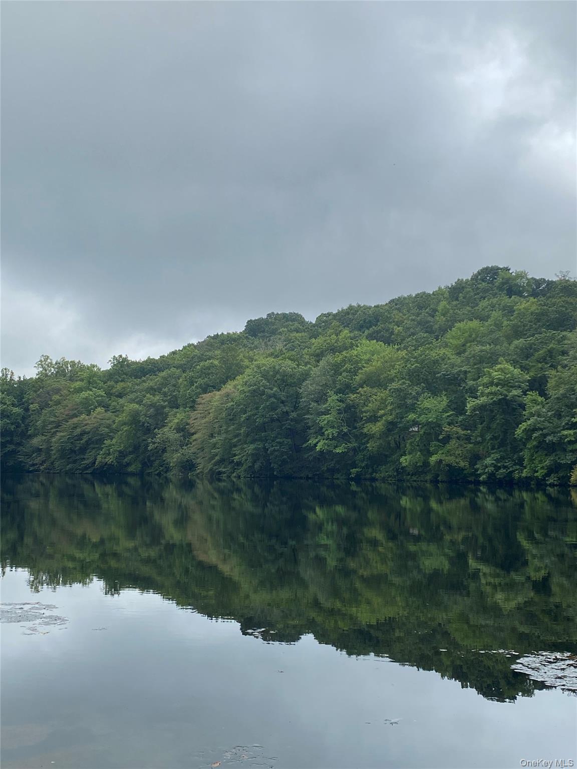 a view of a lake and green valley