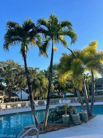 a view of a backyard with palm tree