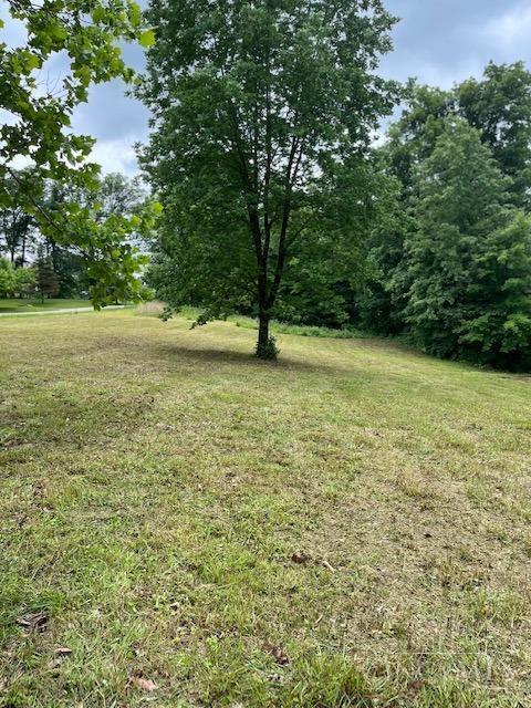Lot #1 Middleboro Road Clarksville, OH 45113 - Photo 6 of 14