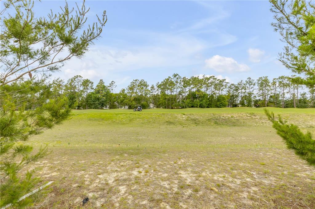 48 Hickory Loop Ocala, FL 34472 - Photo 42 of 52 a view of an ocean and a yard