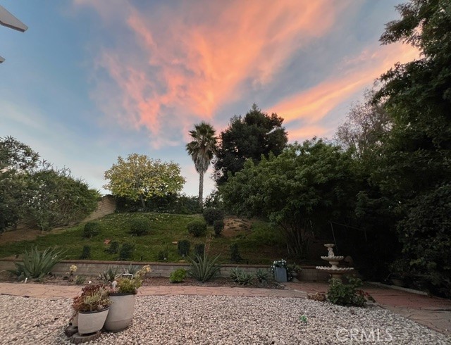 21530 Chirping Sparrow Road Diamond Bar, CA 91765 - Photo 15 of 16 Backyard view