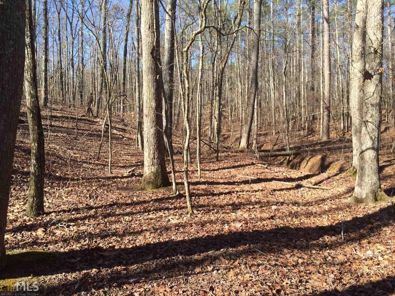 0 Old Goshen Church Road Roopville, GA 30170 - Photo 1 of 1
