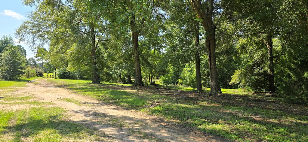 4739 Wallace Buie Road Columbia, AL 36319 - Photo 3 of 54