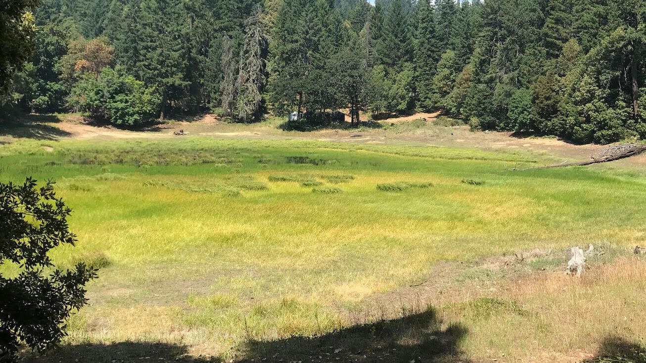 1780 Mcdonald Creek Road Burnt Ranch, CA 95527 - Photo 3 of 58