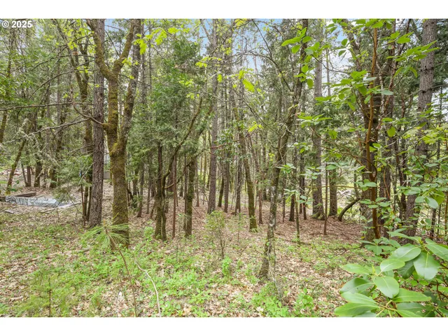 $220,000 | Redwood Highway, Grants Pass, OR 97527