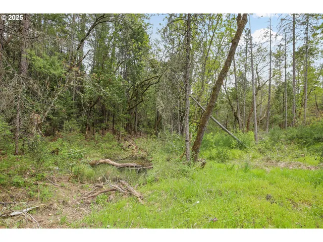 $220,000 | Redwood Highway, Grants Pass, OR 97527