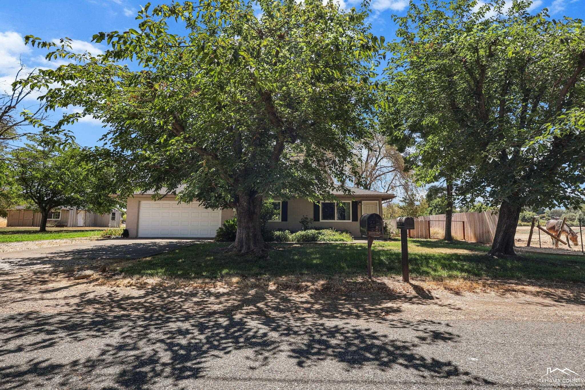 22275 Brent Road Red Bluff, CA 96080 - Photo 33 of 47 a big tree in middle of the garden