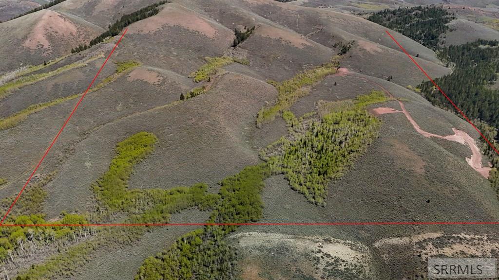 Tbd Tbd White Ridge Road Soda Springs, ID 83276 - Photo 9 of 22