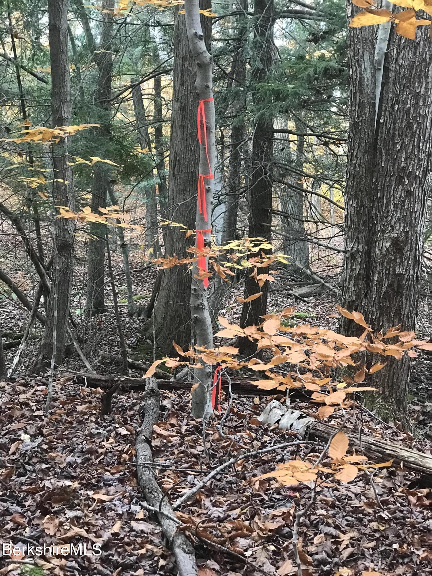 18 Rosenberg Road Lanesborough, MA 01237 - Photo 8 of 14 land