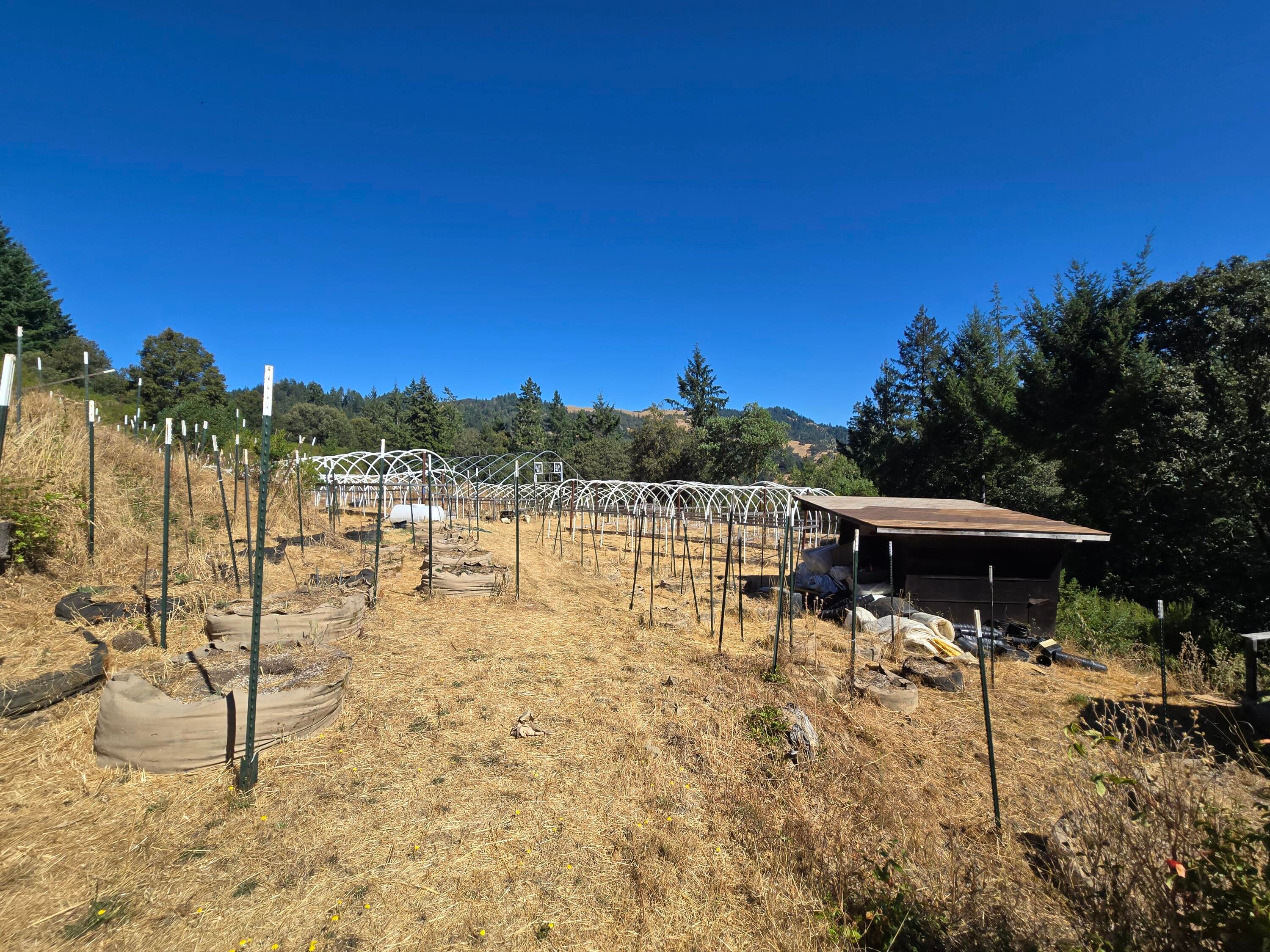 3897 Rd A Garberville, CA 95542 - Photo 35 of 44 Gallery Image 35