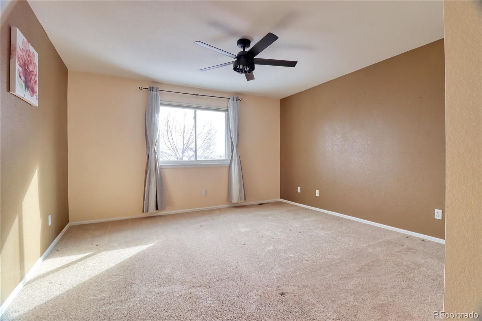 3819 South Rome Way Aurora, CO 80018 - Photo 12 of 25 an empty room with windows and ceiling fan
