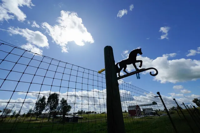 a view of swimming pool with trees and plants