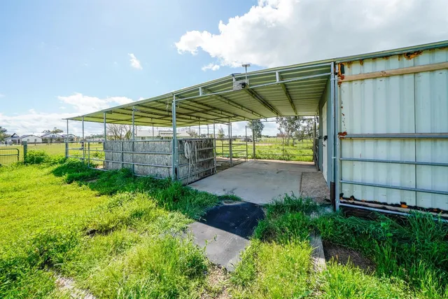 a view of a big room with wooden floor and windows