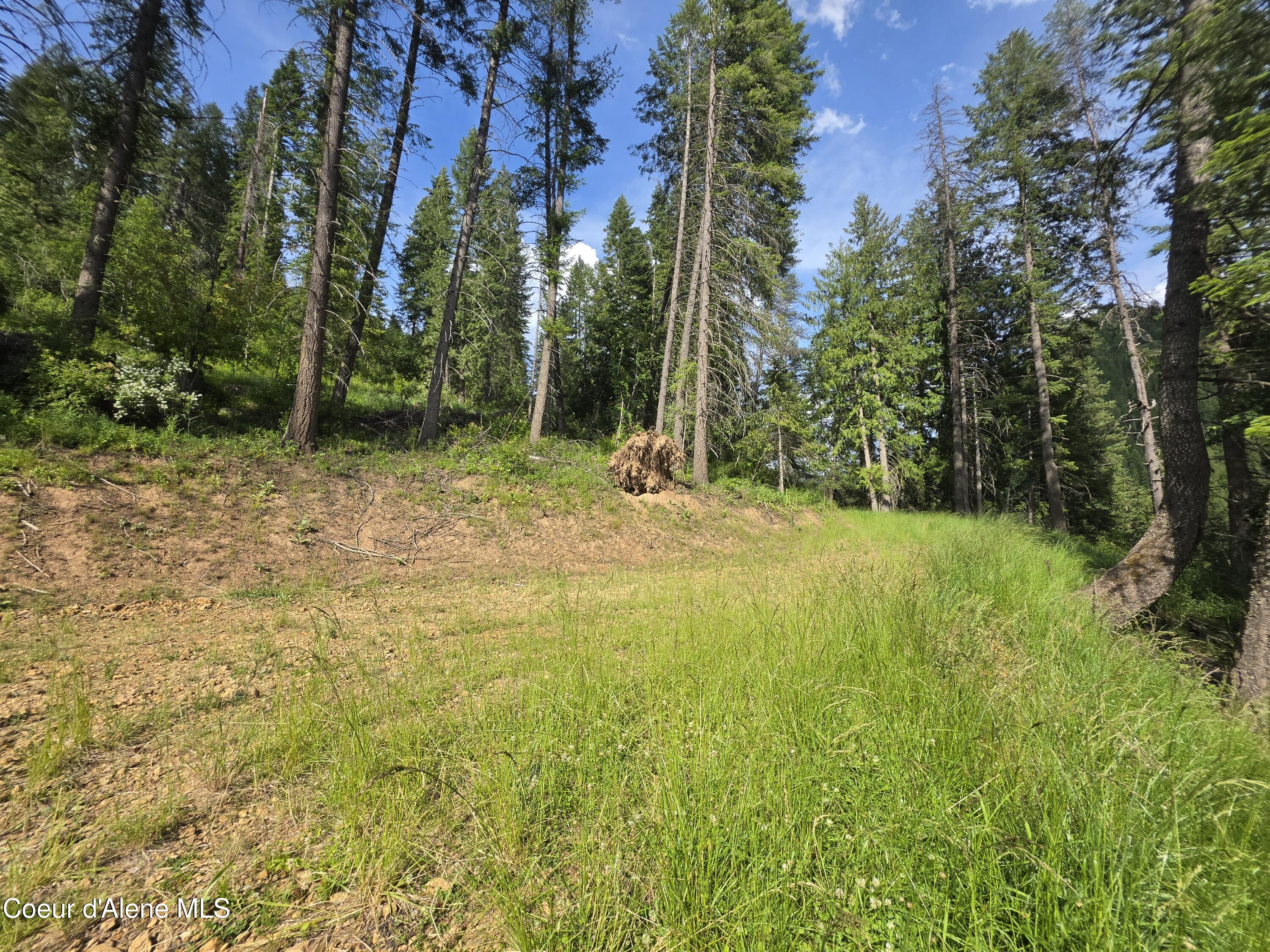 480 Dunn Peak Road Avery, ID 83802 - Photo 33 of 66 2nd Building site