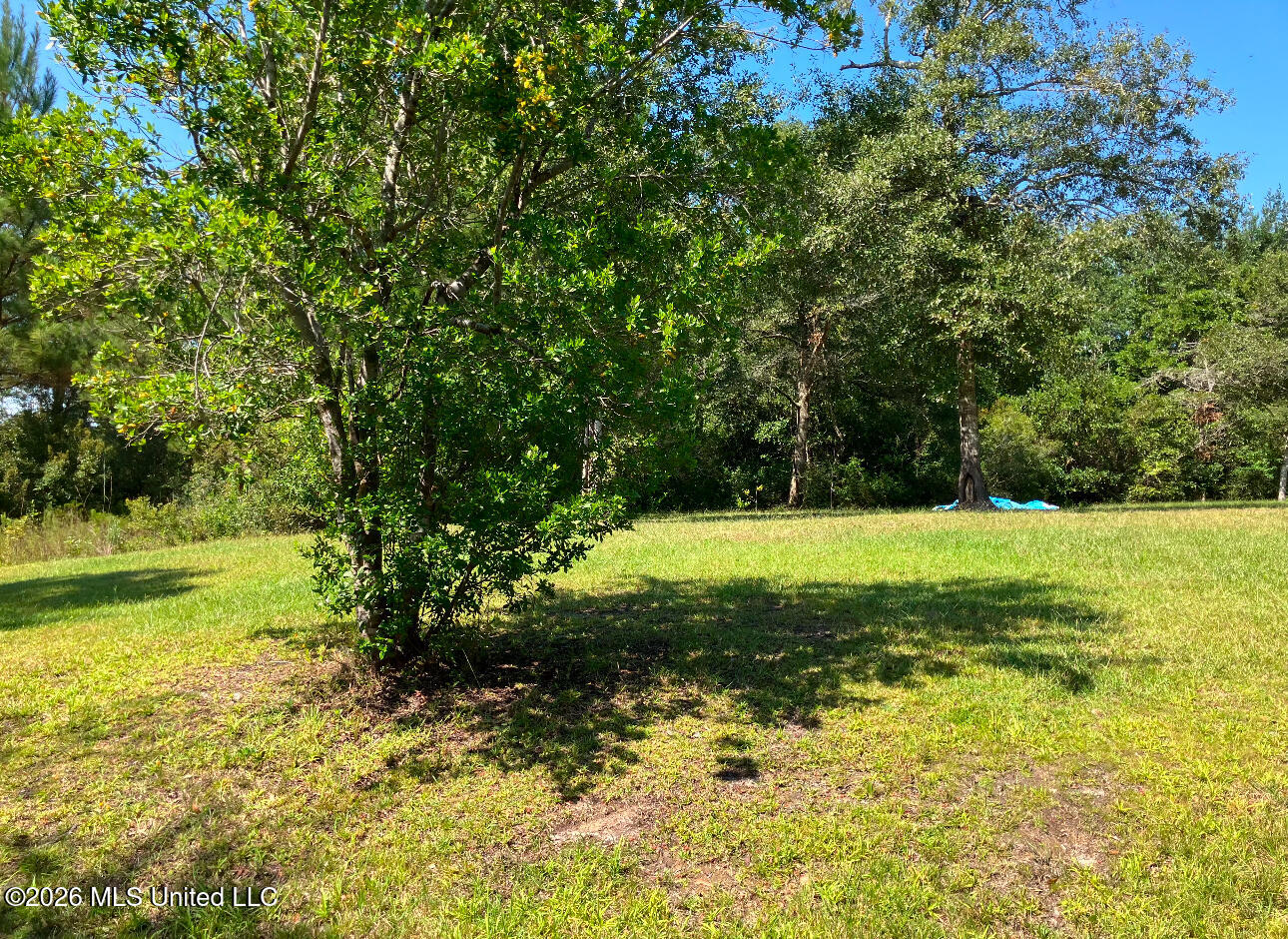 2.88-ac Morrison Road Lucedale, MS 39452 - Photo 6 of 12 IMG_3730