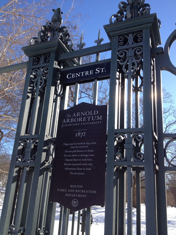 12 Arborview Road Boston, MA 02130 - Photo 33 of 42