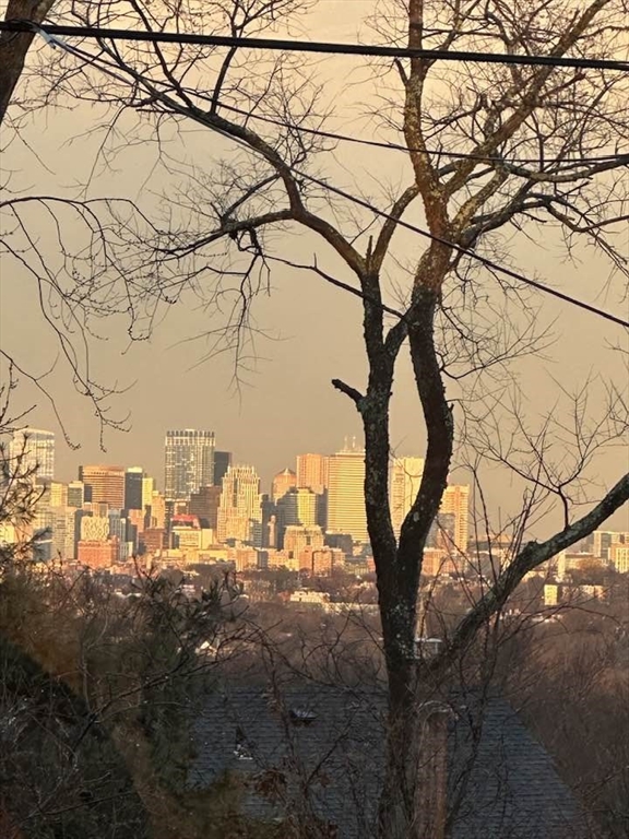 12 Arborview Road Boston, MA 02130 - Photo 34 of 42