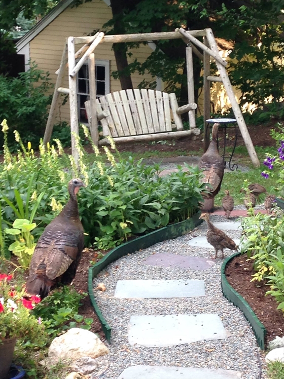 12 Arborview Road Boston, MA 02130 - Photo 35 of 42