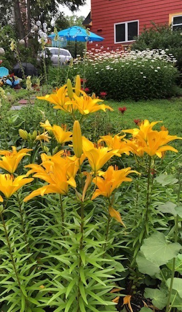 12 Arborview Road Boston, MA 02130 - Photo 39 of 42