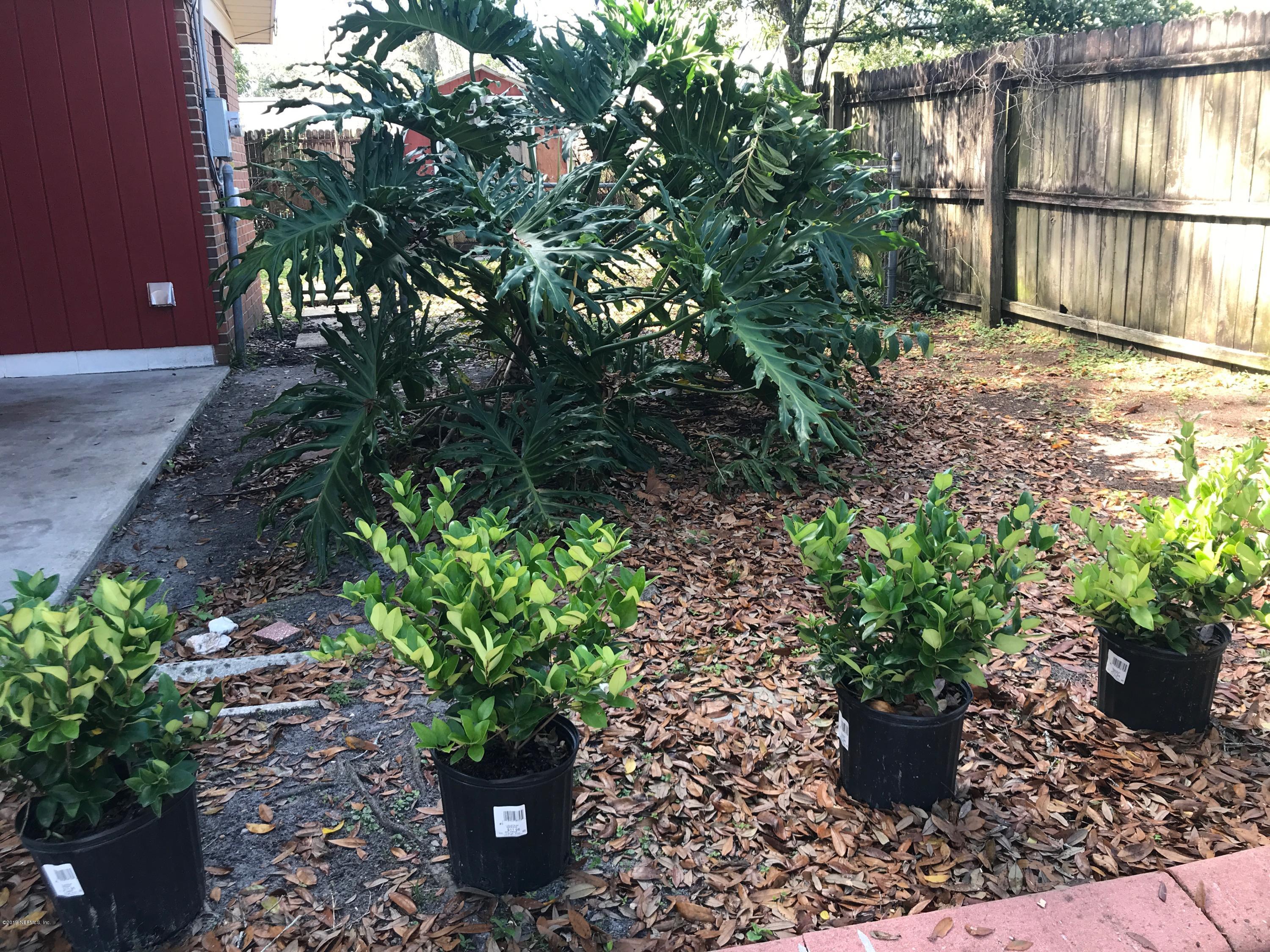 5626 Ricker Road Jacksonville, FL 32244 - Photo 6 of 25 a view of a garden with a chair