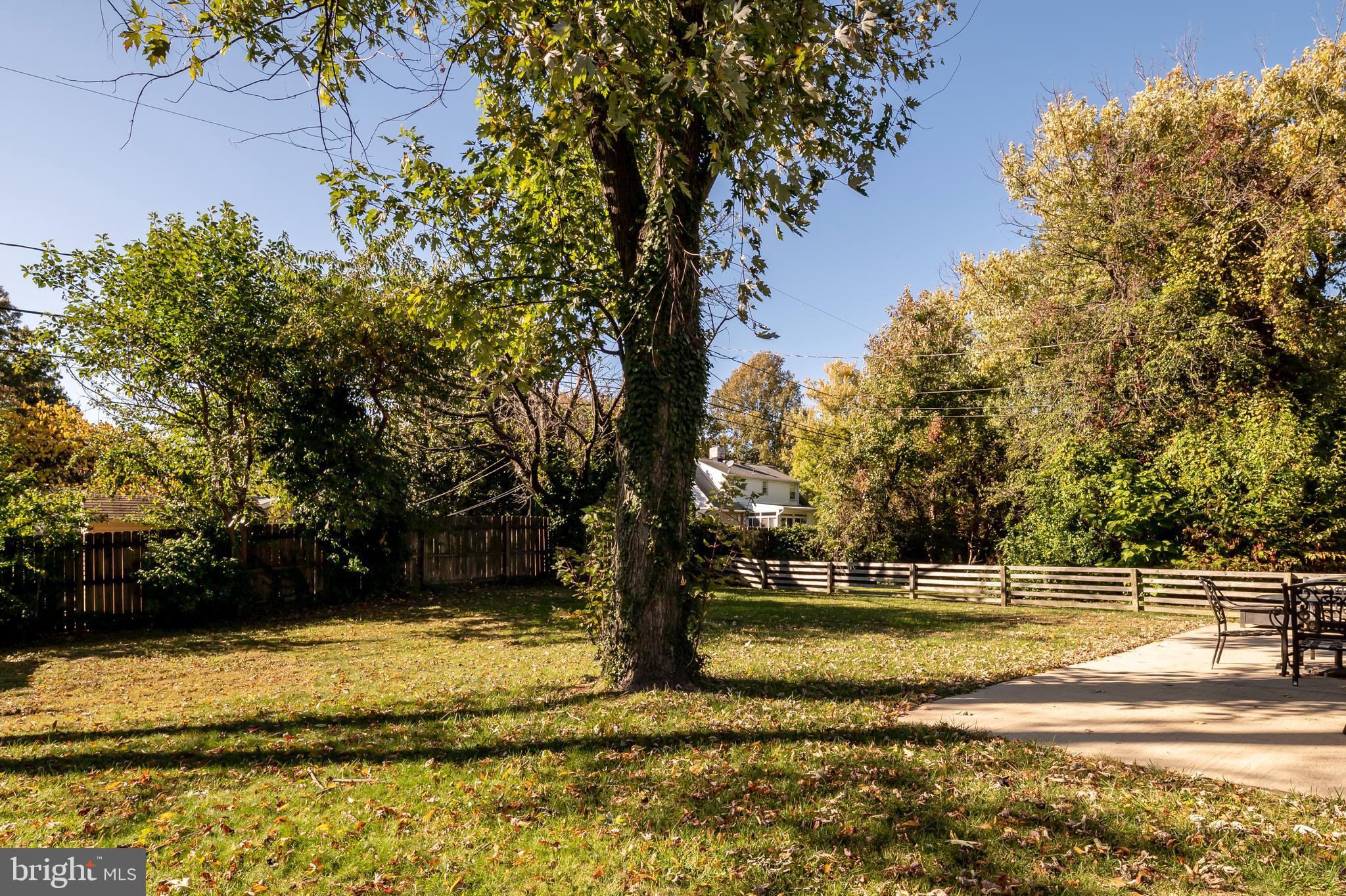 210 Homewood Road Linthicum Heights, MD 21090 - Photo 30 of 33 Backyard
