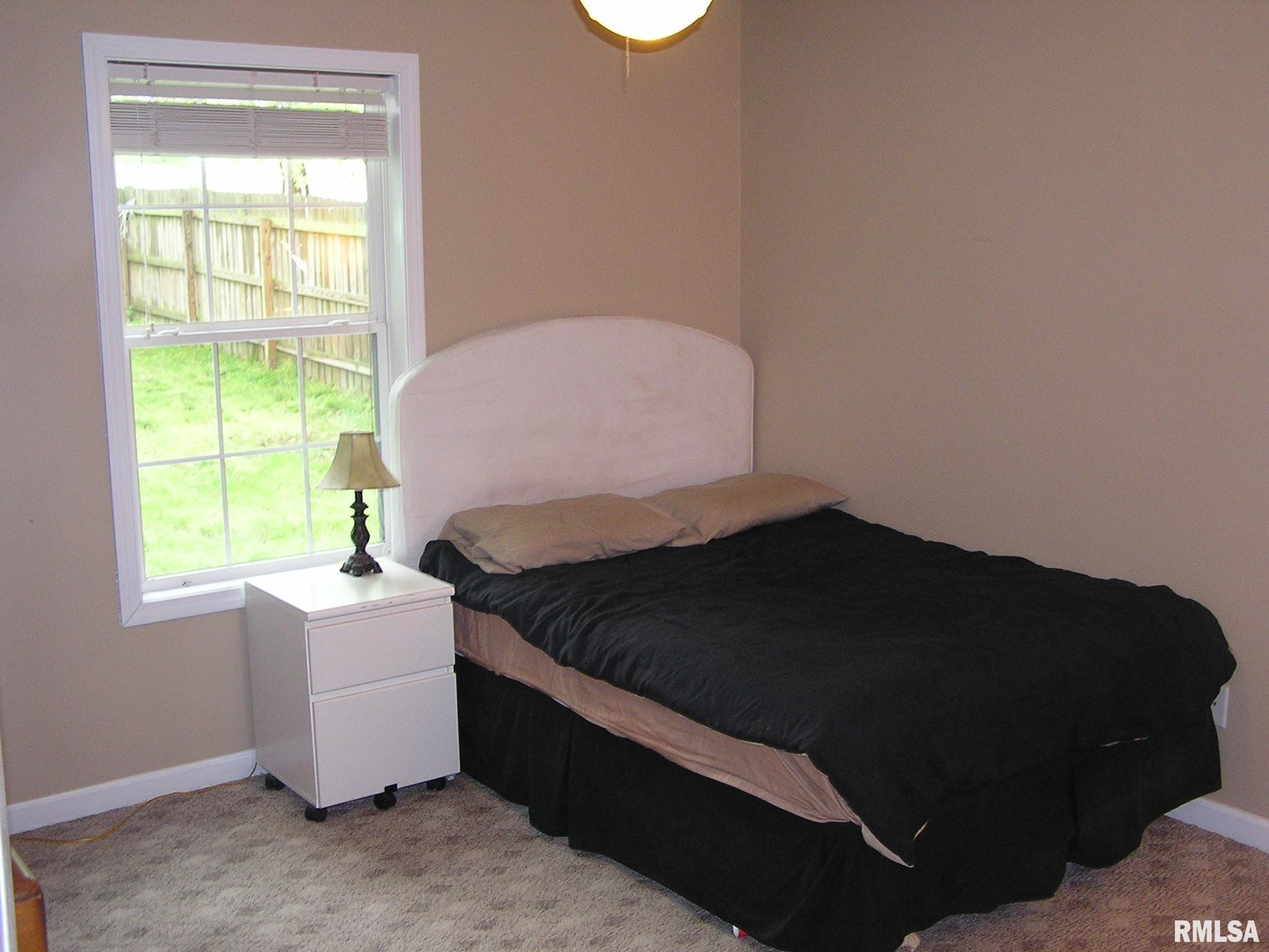 607 West Rigdon Street Carbondale, IL 62901 - Photo 7 of 15 Gallery Image 7