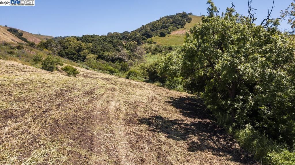 12610 Clayton Road San Jose, CA 95127 - Photo 14 of 14 a view of a dry yard with mountains in the background