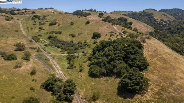 a view of a yard with a mountain