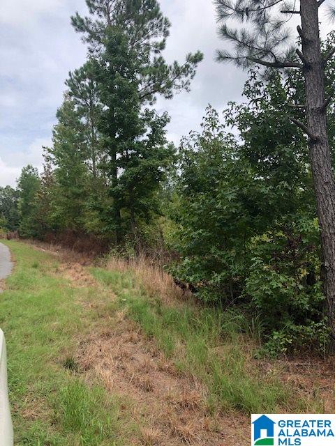 0 Nunnally Lake Road, Unit ACERAGE Ohatchee, AL 36271 - Photo 1 of 12