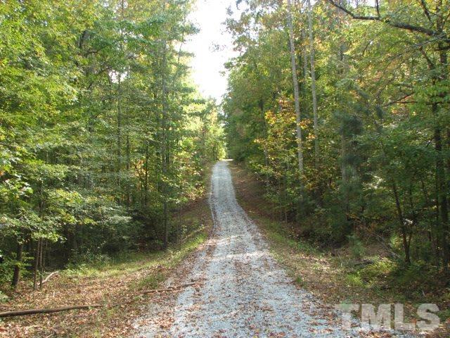 7821 McKee Road Rougemont, NC 27572 - Photo 3 of 25 a view of a forest filled with trees