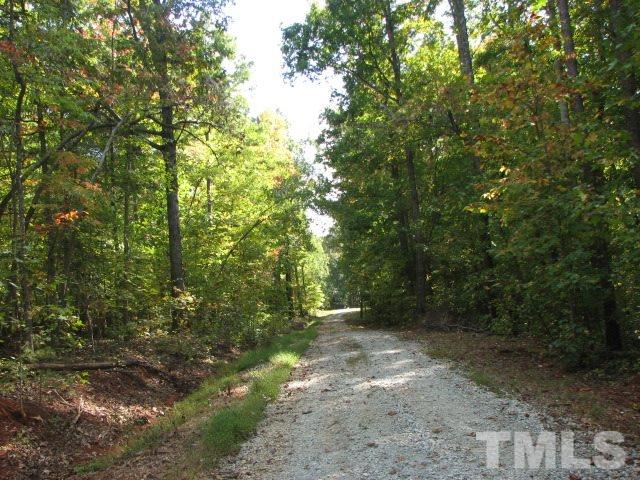 7821 McKee Road Rougemont, NC 27572 - Photo 4 of 25 a view of a forest with trees in the background