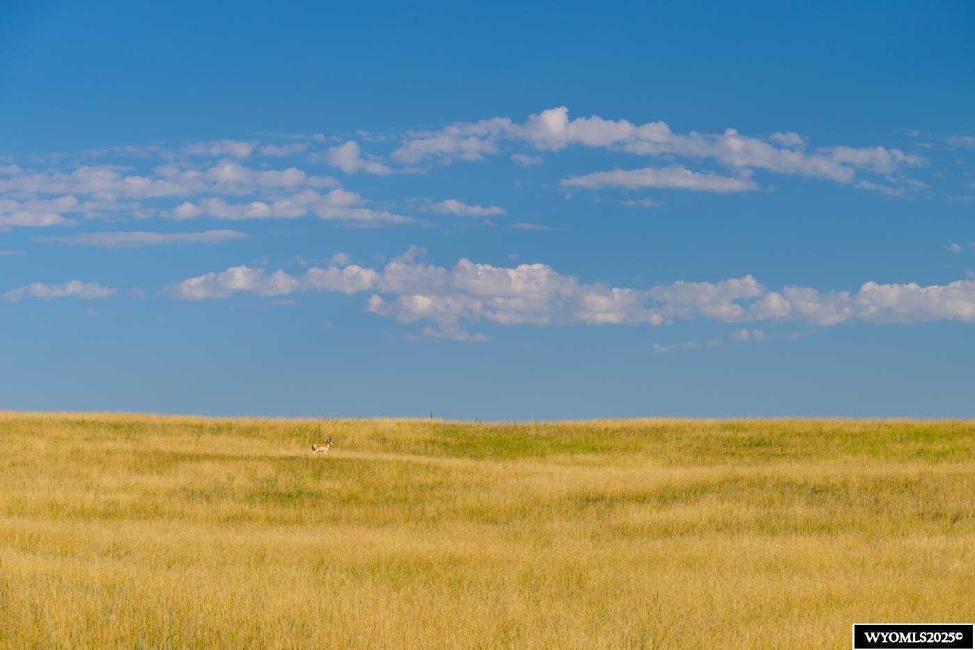 Lot 340 Carribean Road Cheyenne, WY 82009 - Photo 4 of 15