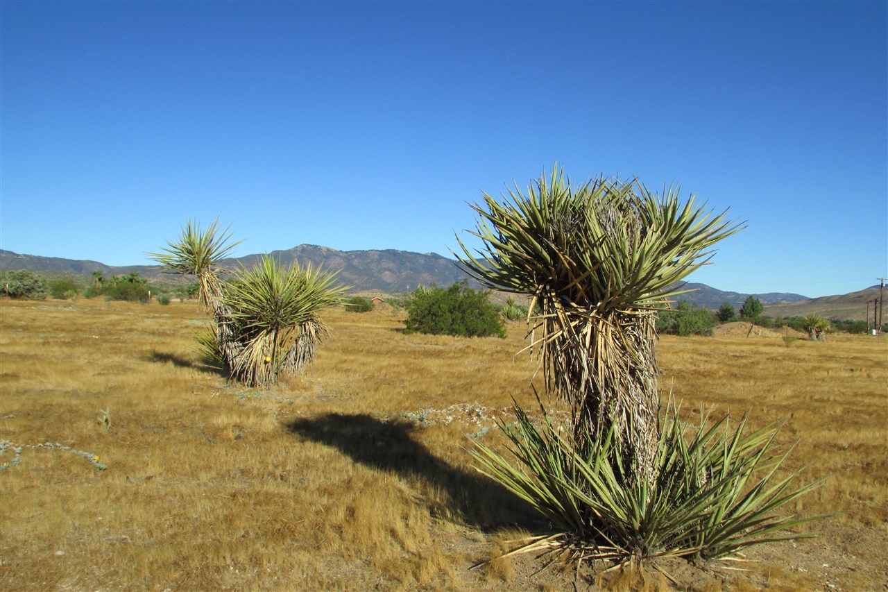 Granite Mountain View Road Julian, CA 92036 - Photo 3 of 8 Gallery Image 3