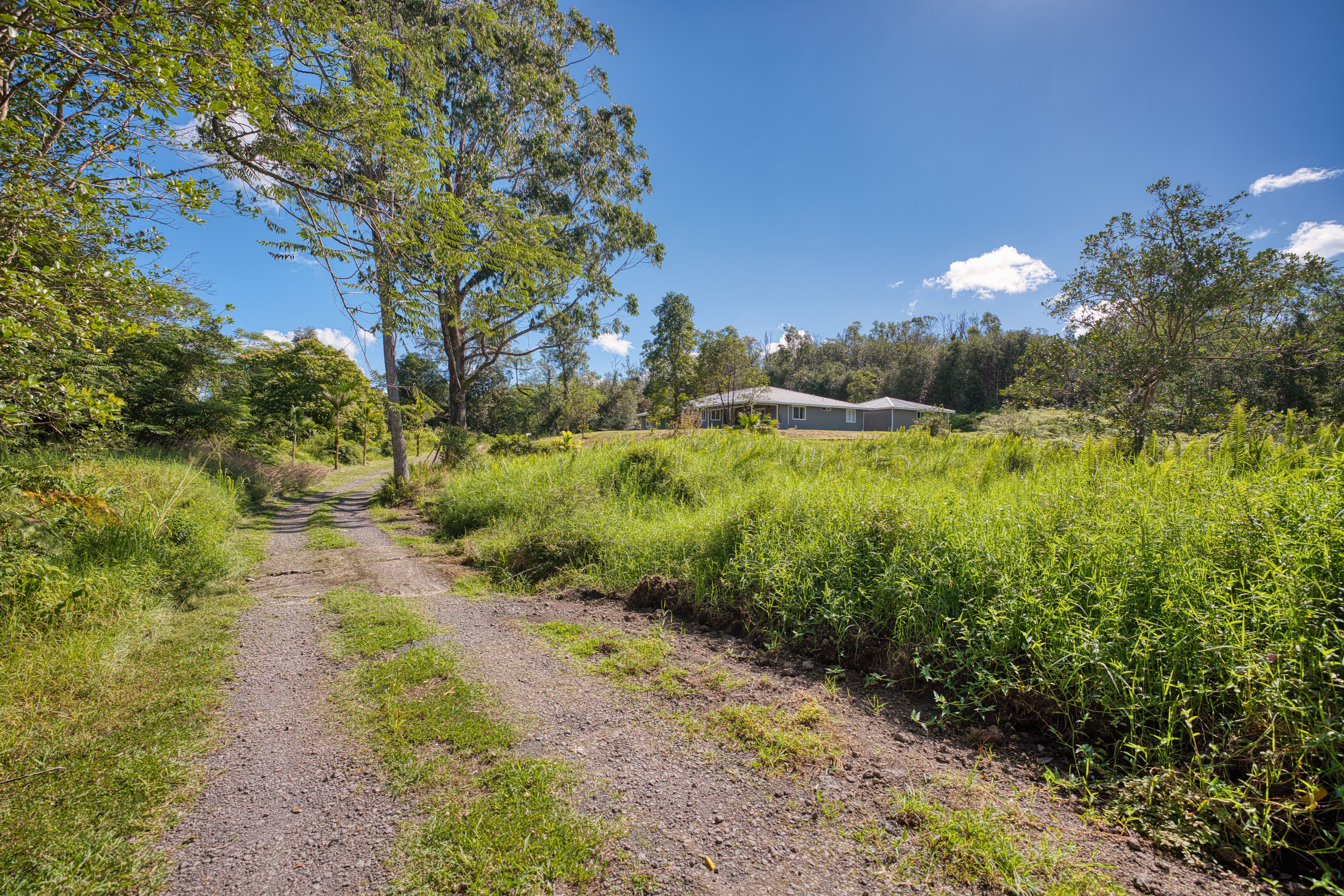 699 Kulaloa Road Hilo, HI 96720 - Photo 25 of 27 Gallery Image 25
