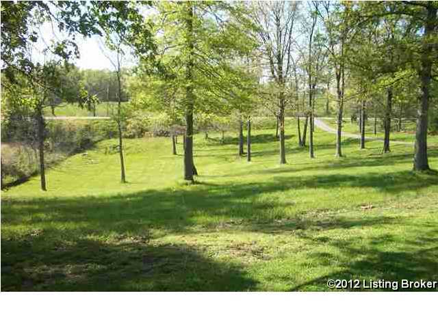 6260 Old State Road Guston, KY 40142 - Photo 20 of 23 Additional Photo