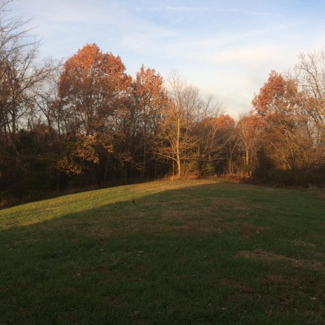 1428 Fairview Road Lawrenceburg, KY 40342 - Photo 34 of 47 Photo 34
