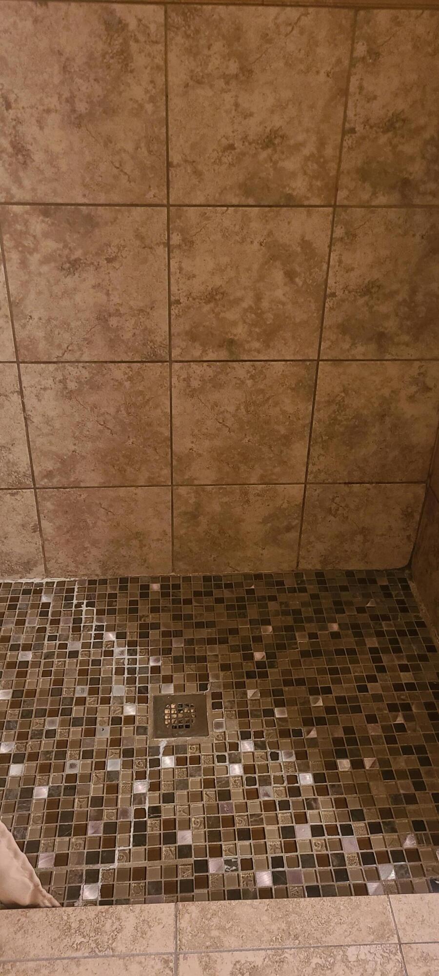 814 Trawick Creek Road Holt, FL 32564 - Photo 13 of 29 Master shower