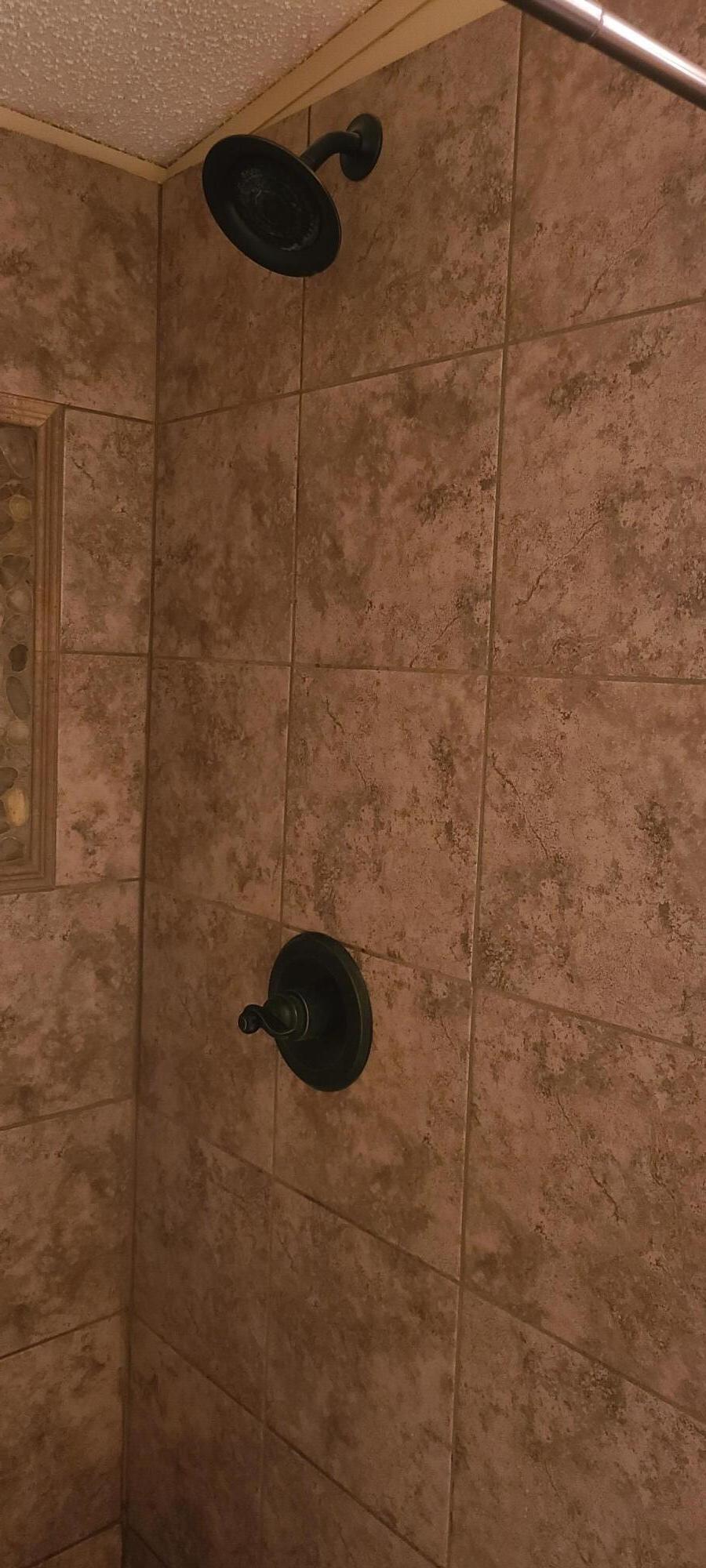 814 Trawick Creek Road Holt, FL 32564 - Photo 10 of 29 Master shower