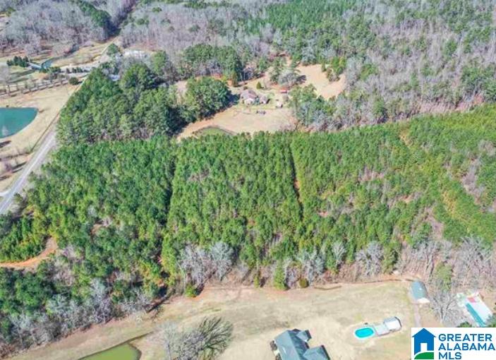 0 Highway 174 Springville, AL 35146 - Photo 5 of 5