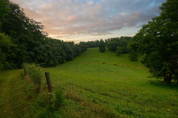 $1,895,900 | 1425 Bartlett Hollow Road, Petersburg, TN 37144