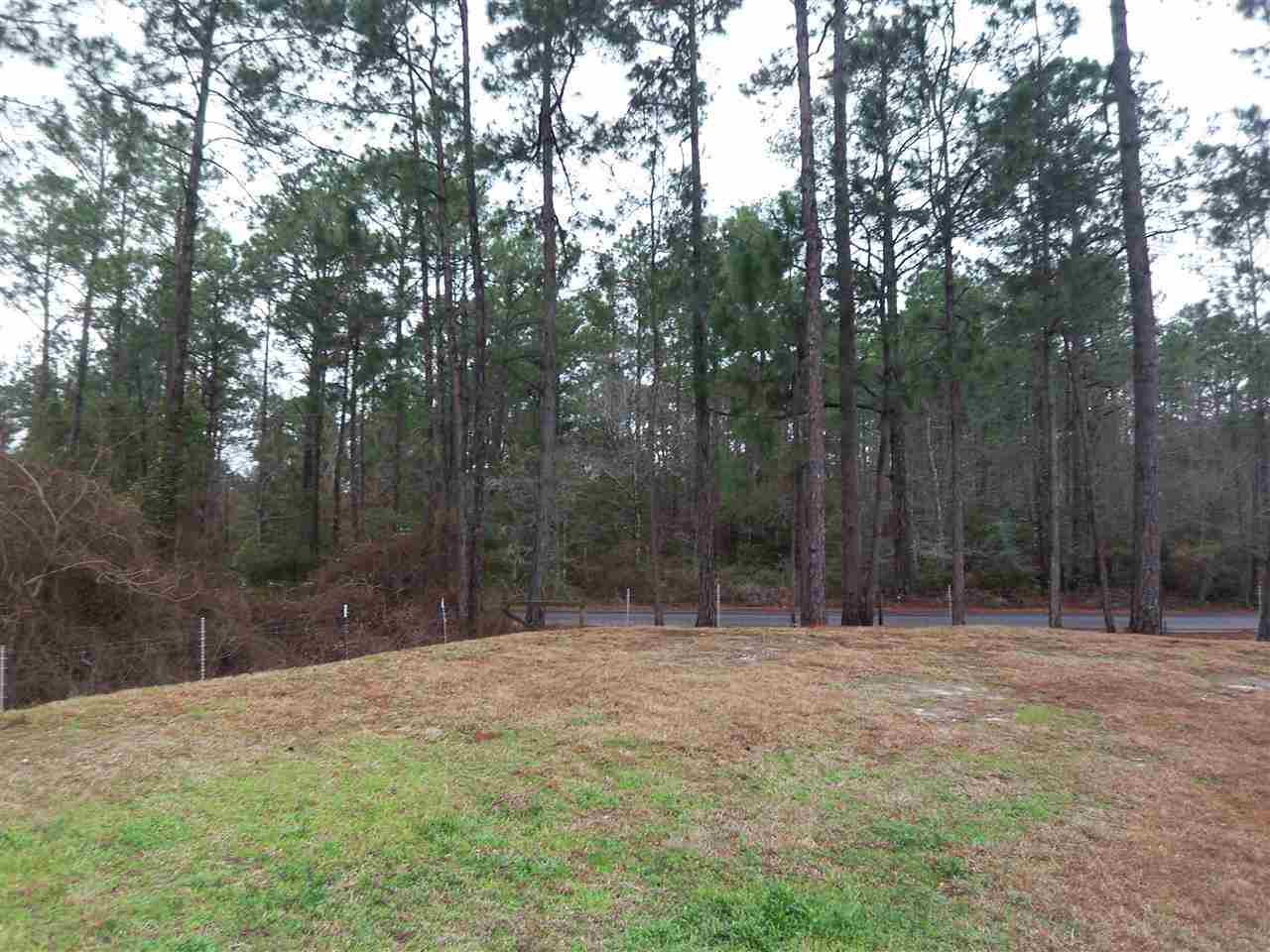 1610 Pearson Road Milton, FL 32583 - Photo 34 of 35