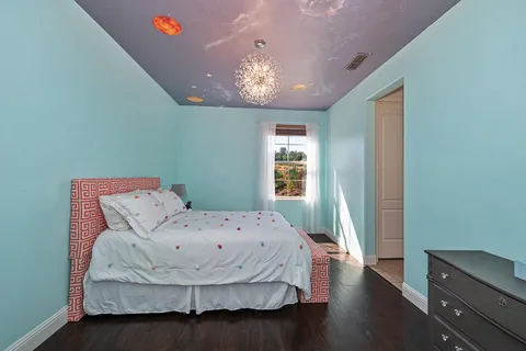 a view of a backyard with plants and a garden