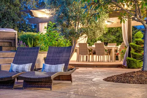 a living room with furniture a window and a potted plant