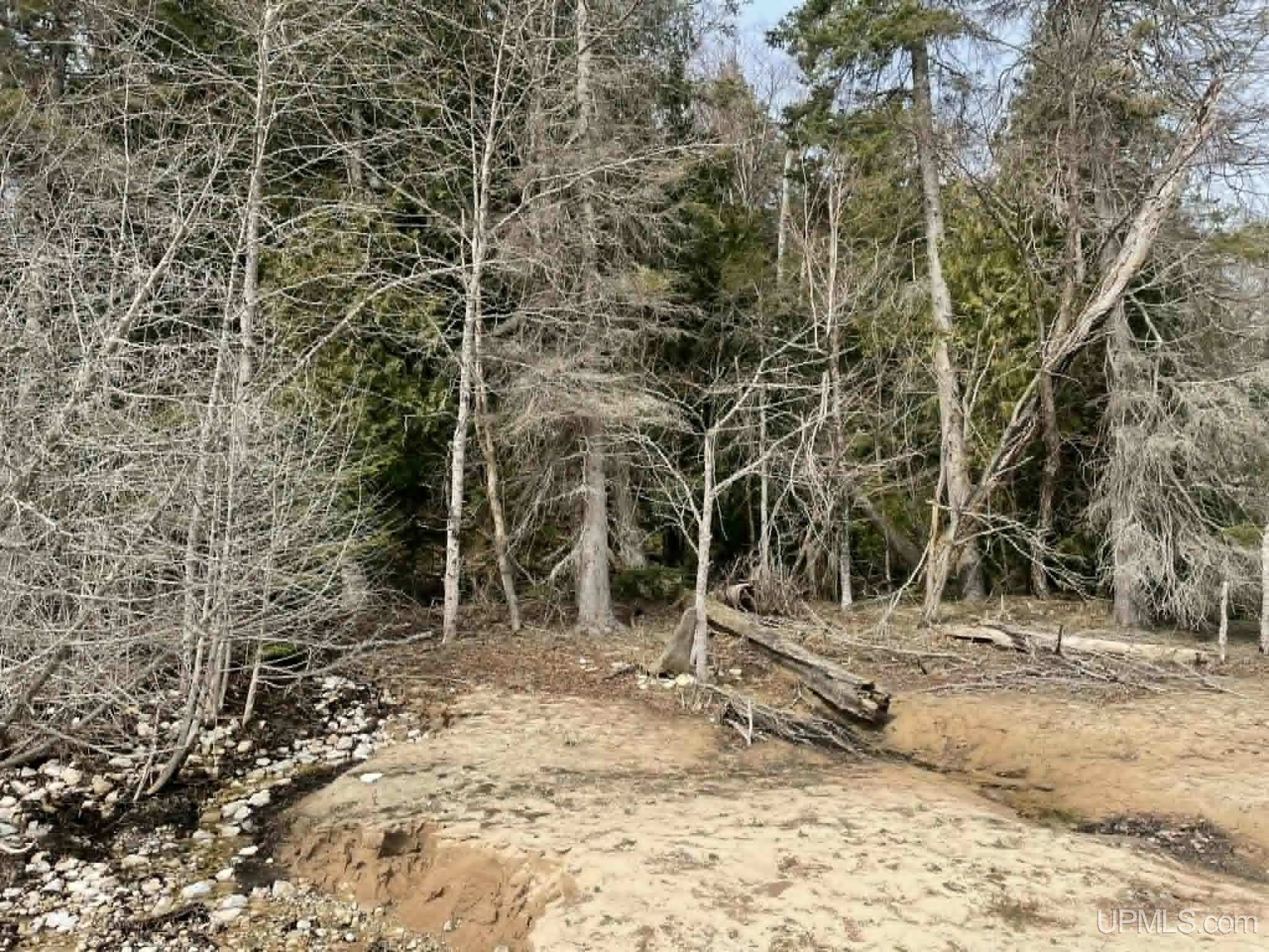 Tbd Peninsula Acres Road Manistique, MI 49854 - Photo 10 of 33