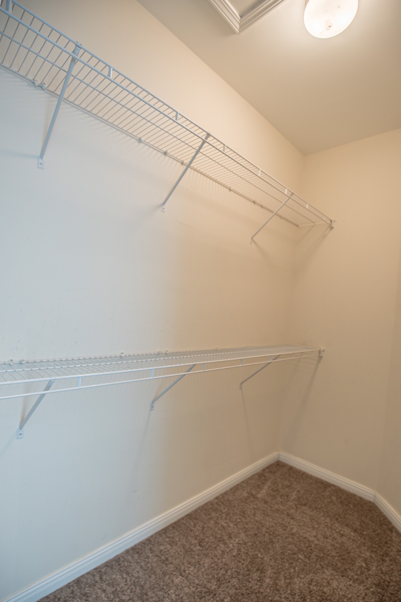 4119 Lazarus Way Murfreesboro, TN 37128 - Photo 30 of 47 a view of a room with racks on the wall